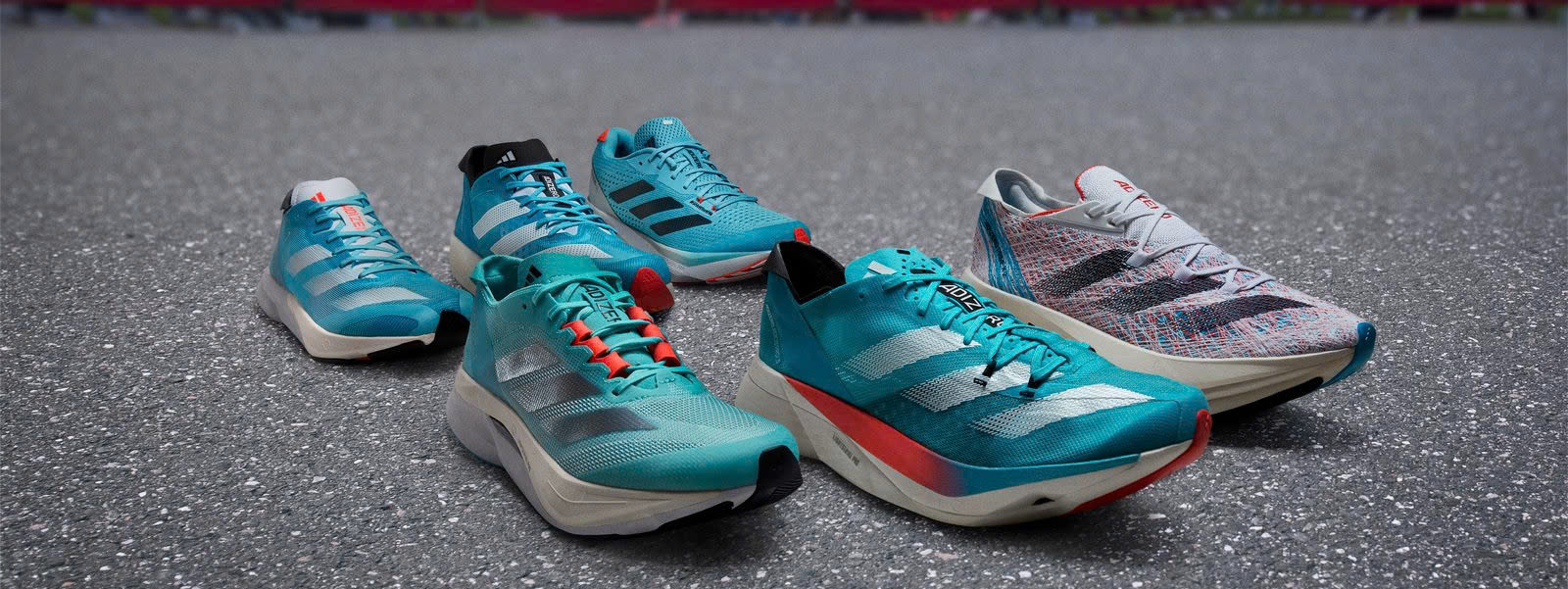 Hoka Store 1 Hoka Store -Hoka Store z6498110367743 9a21885b1204b5911069c39889c21d32